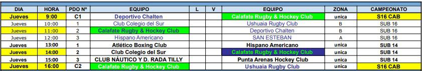 Hockey Pista sub 14 y sub 16 Femenino Programación Jueves